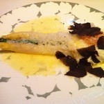 トルナヴェント - 【2015年3月末】