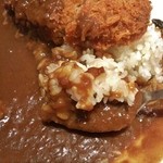 カレーの王様 - 飯量は＋110円なのに差ほど大盛りではない…！