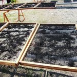 葉山テラス - 久留和漁港 天日干しのひじき