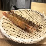 鮨 銀座おのでら - 