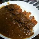 木屋南カレー - ヒレカツカレー