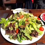 Potoro - 