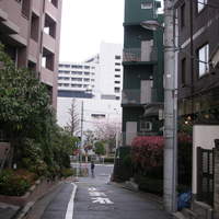 ヴォーロ・コズィ - 白山通り方面（店舗は右斜め前の建物）