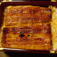 明神下 神田川 本店 - 2010年4月