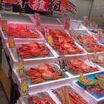 生簀の甲羅 - 