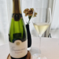 MASIA - 