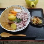 水見色きらく市 - 手作り味噌カレー 600円