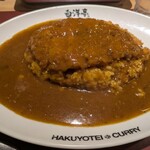 旨辛カレー専門店 白洋亭 - 
