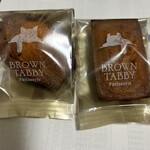 BROWN TABBY - 