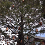 リリエンベルグ - 店前の大樹