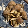 天盃 - 