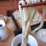 椿 - ｺｼも十分で､ｽﾞﾙ～っと。