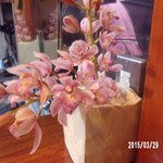 天庵 - これはおまけ(笑)　目の前…カウンターの上に有ったもんでで…つい