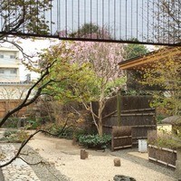 よし邑 - 
