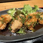 佐賀県三瀬村ふもと赤鶏 - 日替わり定食