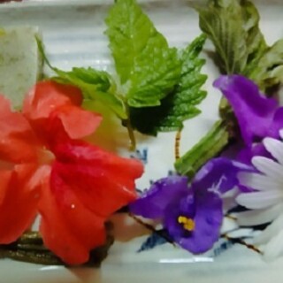 いろり　じねん - 料理写真:６月摘み草と野菜天ぷら素材