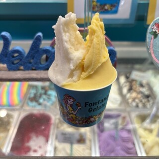 Fontana Gelato_0