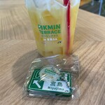ピクミンテラス in 宮島SA - 黄ピクミンフロート（オレンジ）_2026年5月
