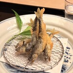 もめん - 
