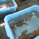 みのり家 - サカナサカナサカナ~♪