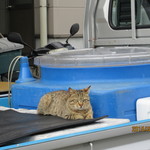 みのり家 - こんにちは＾w＾