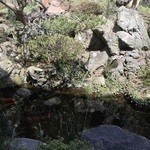 小淵沢 井筒屋 - 