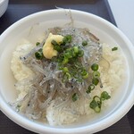 どんぶりハウス - 料理写真:生しらす丼 ¥800