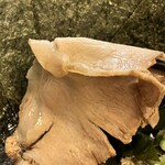 だるま - 