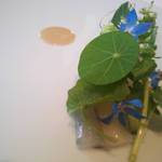 ナクレ - サヨリのマリネ 花山葵 ナスタチウム 白ごまのソース