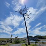 すなば珈琲 - 