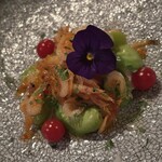 ricerca - 