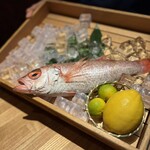のどぐろ専門 銀座 中俣 - 