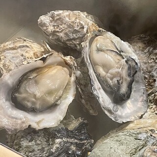 広島名物を食べるなら旨田屋で決まり