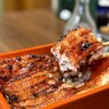 うなぎ 魚政 - 