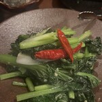 sinensis - 