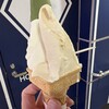 麻布茶房 北海道アイスクリーム 秋葉原店