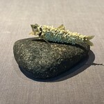 茶禅華 - 