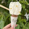 DOLCE TACUBO - 