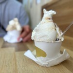PECA i DECA. - 