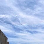 しぜん酵母と石窯ぱん bunga - 