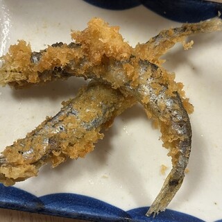 立呑み 魚勝_1