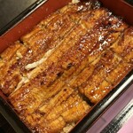 鰻 むさし乃 - 
