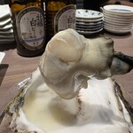 銀座で生牡蠣が美味しい専門店 牡蠣Bar - 