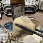 銀座で生牡蠣が美味しい専門店 牡蠣Bar - 