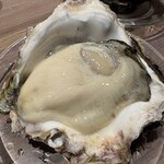 銀座で生牡蠣が美味しい専門店 牡蠣Bar - 