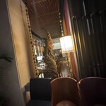 チェディルアン - 