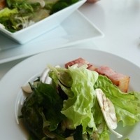 マーサーブランチ テラスハウス - 