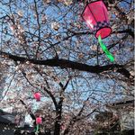 阿倍野だんご本舗 - 前にレビューした阿倍野路地裏の隠れ家的なカフェ
            『パルファン』もこの近くにあるんだよ。
            今日は通りすがりのご近所の人が桜を眺めたり、
            写真を撮られたりしていました。