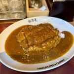 旨辛カレー専門店 白洋亭 - 