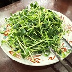 芳香園 - 